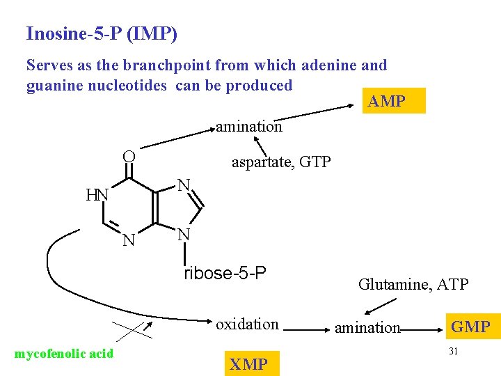 Inosine-5 -P (IMP) Serves as the branchpoint from which adenine and guanine nucleotides can