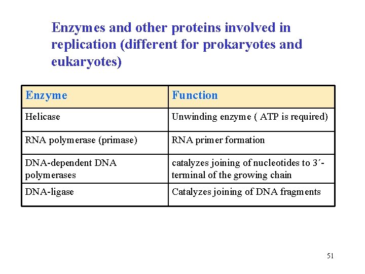 Enzymes and other proteins involved in replication (different for prokaryotes and eukaryotes) Enzyme Function