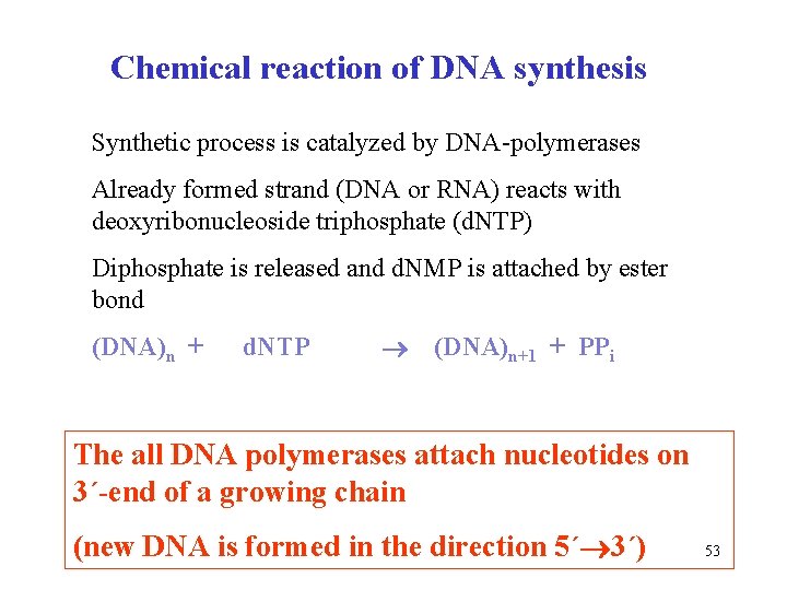 Chemical reaction of DNA synthesis Synthetic process is catalyzed by DNA-polymerases Already formed strand