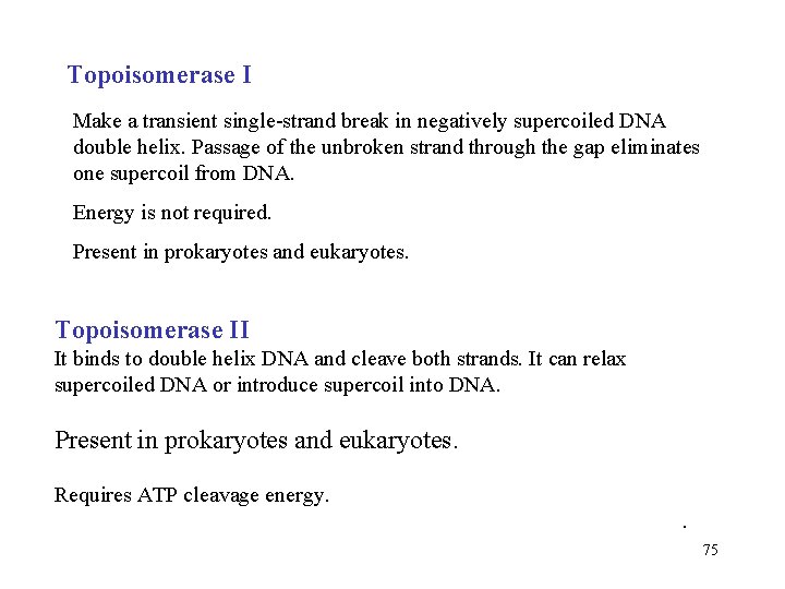 Topoisomerase I Make a transient single-strand break in negatively supercoiled DNA double helix. Passage