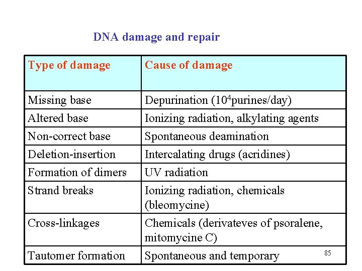 DNA damage and repair Type of damage Cause of damage Missing base Altered base