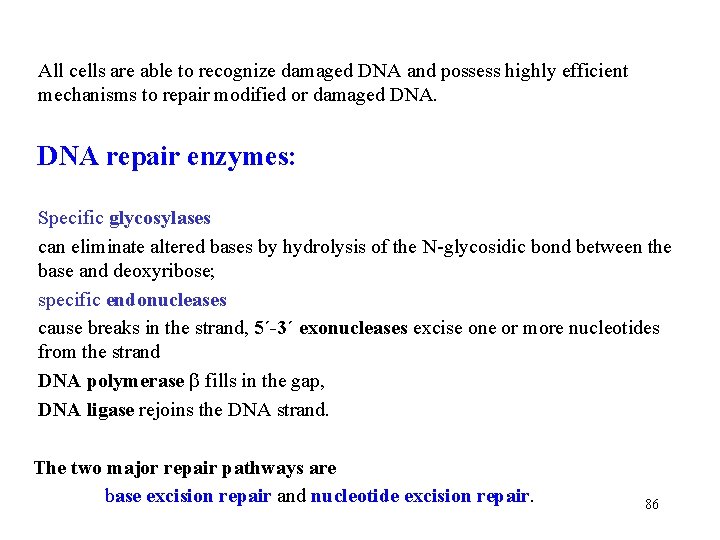 All cells are able to recognize damaged DNA and possess highly efficient mechanisms to