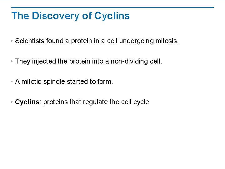 The Discovery of Cyclins • Scientists found a protein in a cell undergoing mitosis.