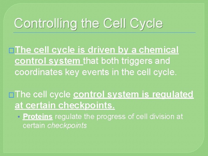 Controlling the Cell Cycle �The cell cycle is driven by a chemical control system
