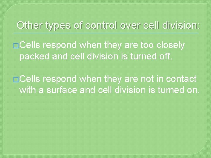 Other types of control over cell division: �Cells respond when they are too closely