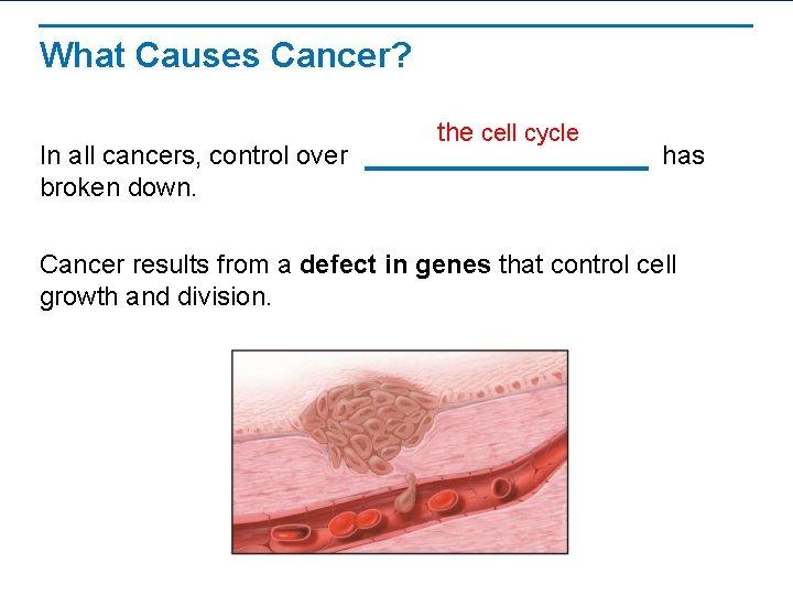 What Causes Cancer? In all cancers, control over broken down. the cell cycle has