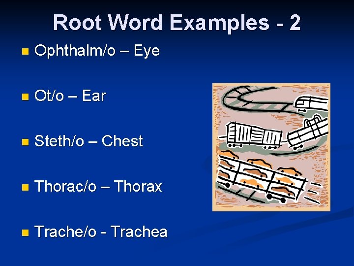 Root Word Examples - 2 n Ophthalm/o – Eye n Ot/o – Ear n