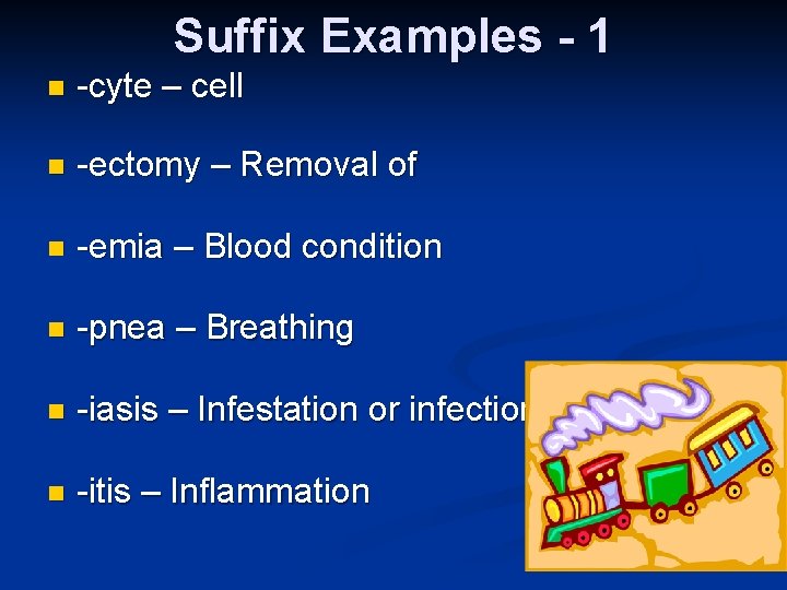 Suffix Examples - 1 n -cyte – cell n -ectomy – Removal of n