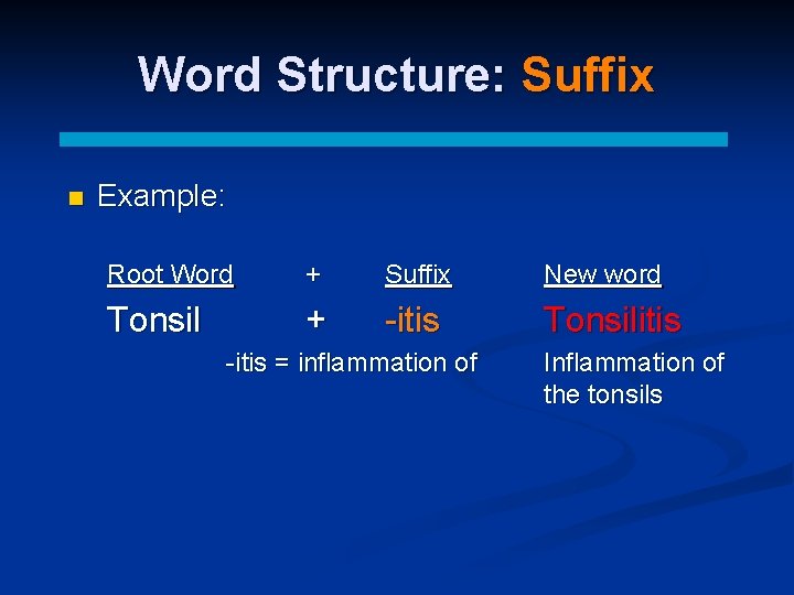 Word Structure: Suffix n Example: Root Word + Suffix New word Tonsil + -itis