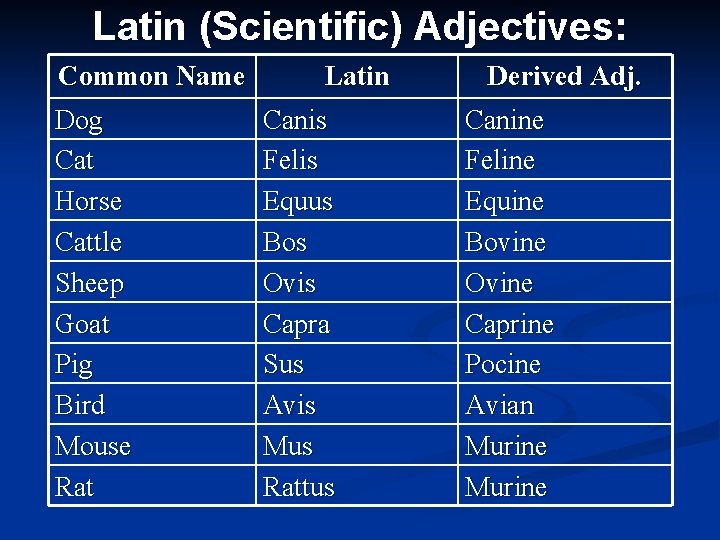 Latin (Scientific) Adjectives: Common Name Dog Cat Horse Cattle Sheep Goat Pig Bird Mouse
