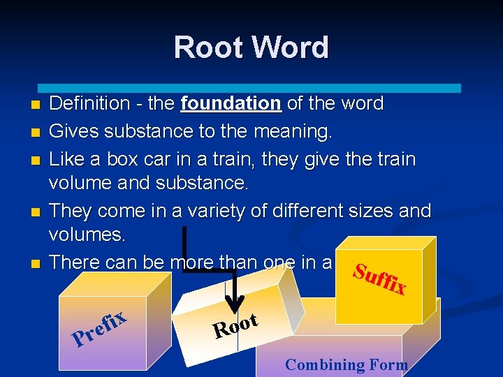 Root Word n n n Definition - the foundation of the word Gives substance