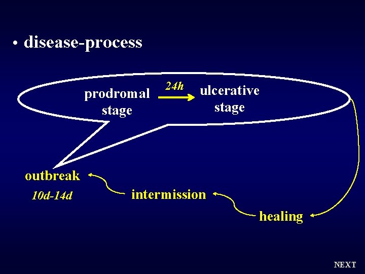  • disease-process prodromal stage 24 h ulcerative stage outbreak 10 d-14 d intermission
