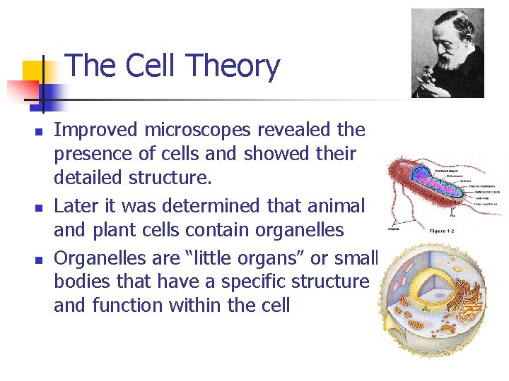 The Cell Theory n n n Improved microscopes revealed the presence of cells and