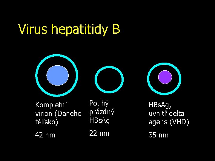 Virus hepatitidy B Pouhý Kompletní virion (Daneho prázdný HBs. Ag tělísko) 42 nm 22