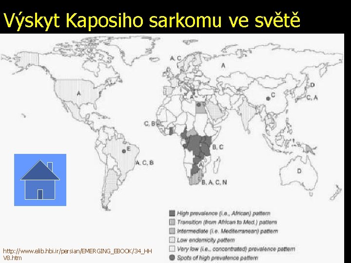 Výskyt Kaposiho sarkomu ve světě http: //www. elib. hbi. ir/persian/EMERGING_EBOOK/34_HH V 8. htm 