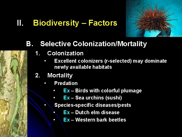 II. Biodiversity – Factors B. Selective Colonization/Mortality 1. Colonization • 2. Excellent colonizers (r-selected)