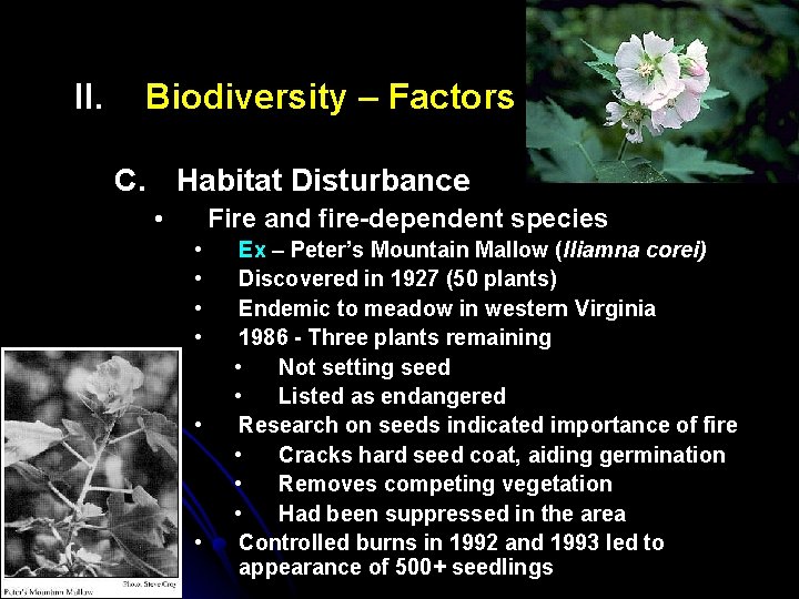 II. Biodiversity – Factors C. Habitat Disturbance • Fire and fire-dependent species • •