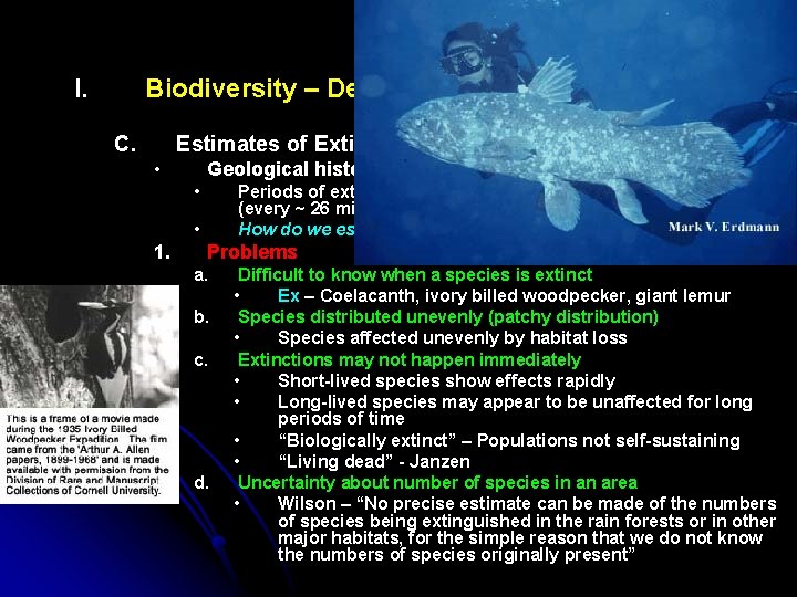 I. Biodiversity – Definitions and Assessment C. Estimates of Extinction Rates • Geological history