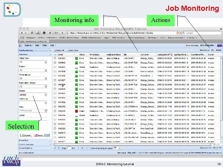 Job Monitoring info Actions Selection DIRAC Monitoring tutorial 18 