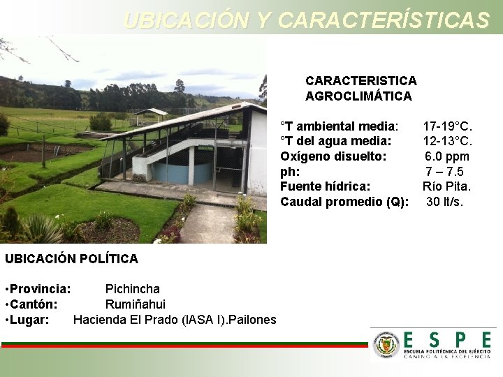 UBICACIÓN Y CARACTERÍSTICAS CARACTERISTICA AGROCLIMÁTICA °T ambiental media: 17 -19°C. °T del agua media: