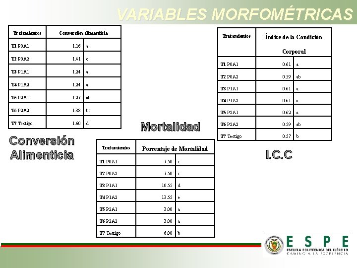 VARIABLES MORFOMÉTRICAS Tratamientos Conversión alimenticia T 1 P 0 A 1 1. 16 a