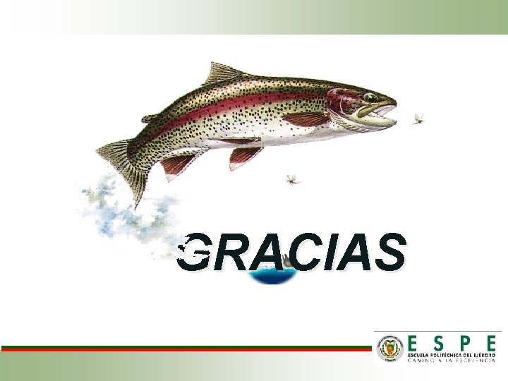 GRACIAS 