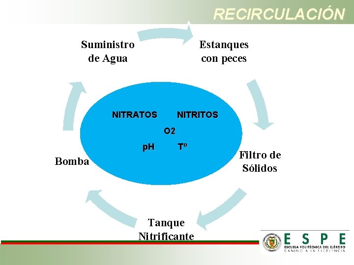 RECIRCULACIÓN Suministro de Agua Estanques con peces NITRATOS NITRITOS O 2 p. H Tº