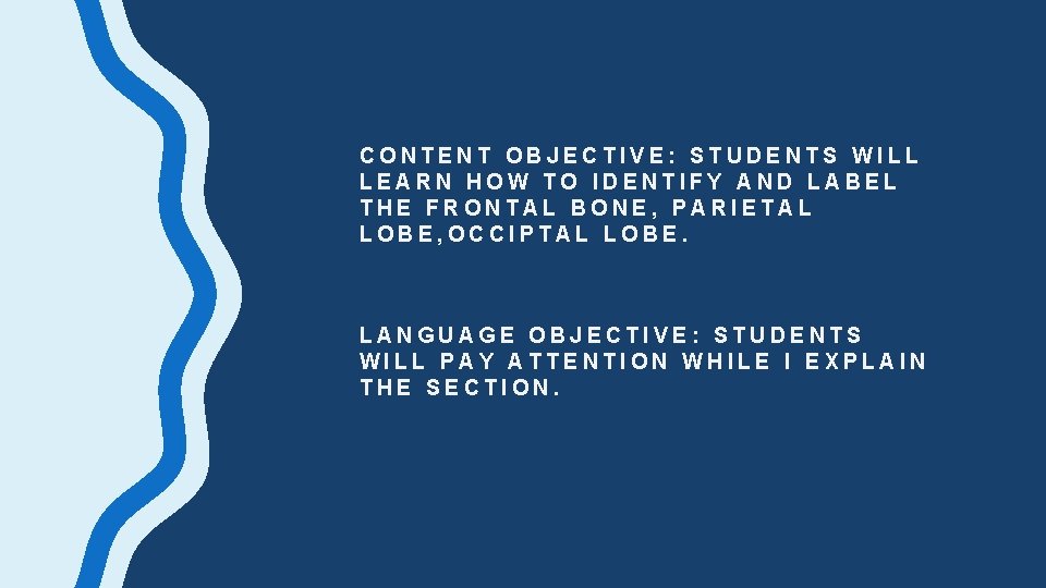 CONTENT OBJECTIVE: STUDENTS WILL LEARN HOW TO IDENTIFY AND LABEL THE FRONTAL BONE, PARIETAL