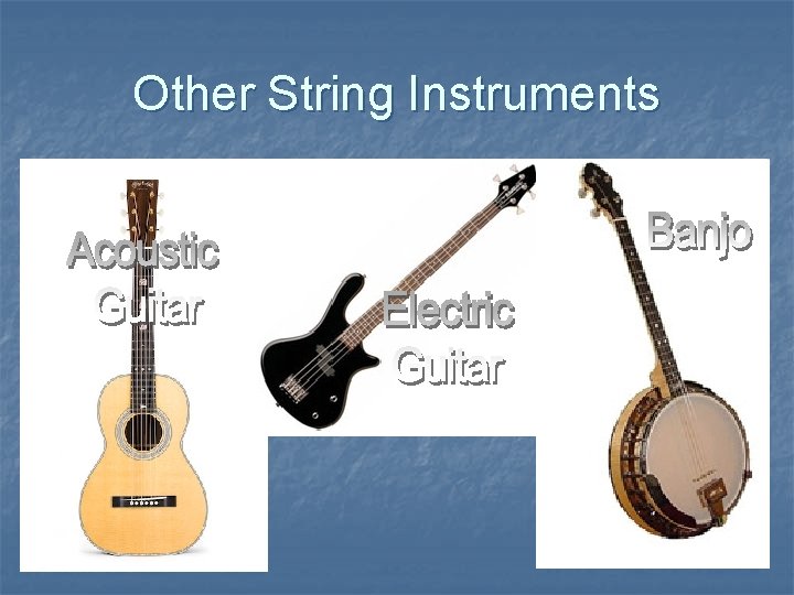 Other String Instruments 