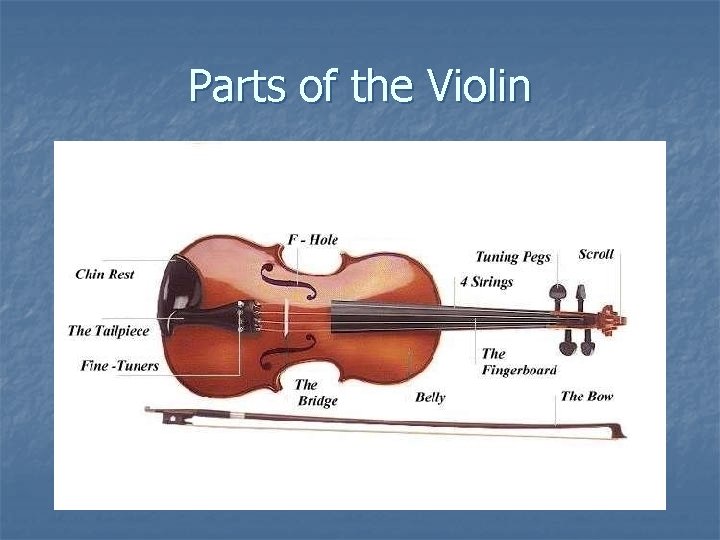 Parts of the Violin 