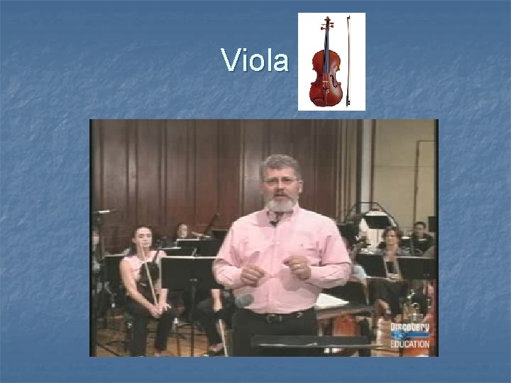 Viola 