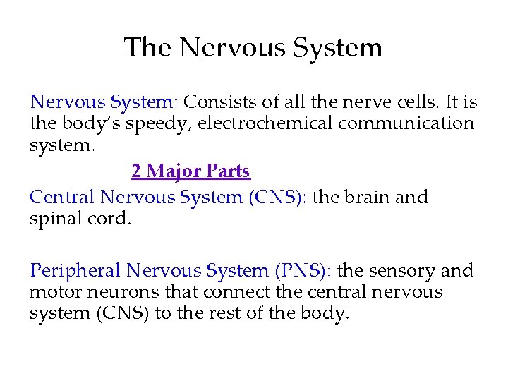 The Nervous System: Consists of all the nerve cells. It is the body’s speedy,