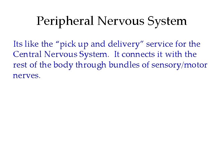 Peripheral Nervous System Its like the “pick up and delivery” service for the Central