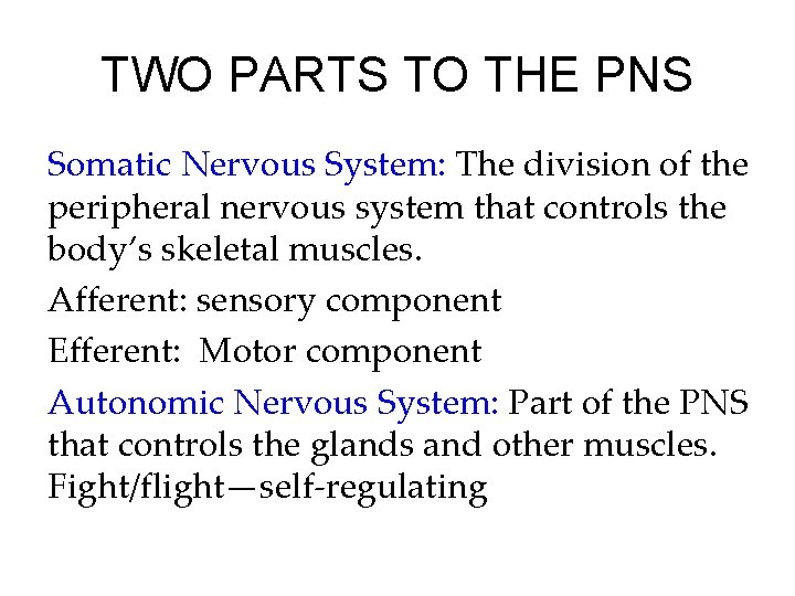 TWO PARTS TO THE PNS Somatic Nervous System: The division of the peripheral nervous