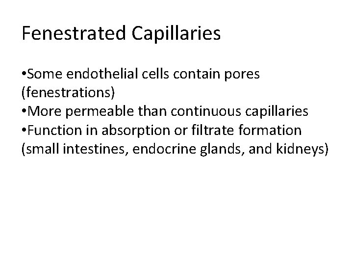 Fenestrated Capillaries • Some endothelial cells contain pores (fenestrations) • More permeable than continuous Fenestrated Capillaries • Some endothelial cells contain pores (fenestrations) • More permeable than continuous