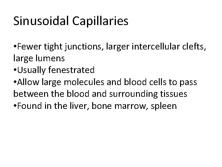 Sinusoidal Capillaries • Fewer tight junctions, larger intercellular clefts, large lumens • Usually fenestrated Sinusoidal Capillaries • Fewer tight junctions, larger intercellular clefts, large lumens • Usually fenestrated