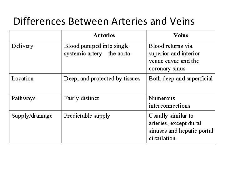 Differences Between Arteries and Veins Arteries Veins Delivery Blood pumped into single systemic artery—the Differences Between Arteries and Veins Arteries Veins Delivery Blood pumped into single systemic artery—the