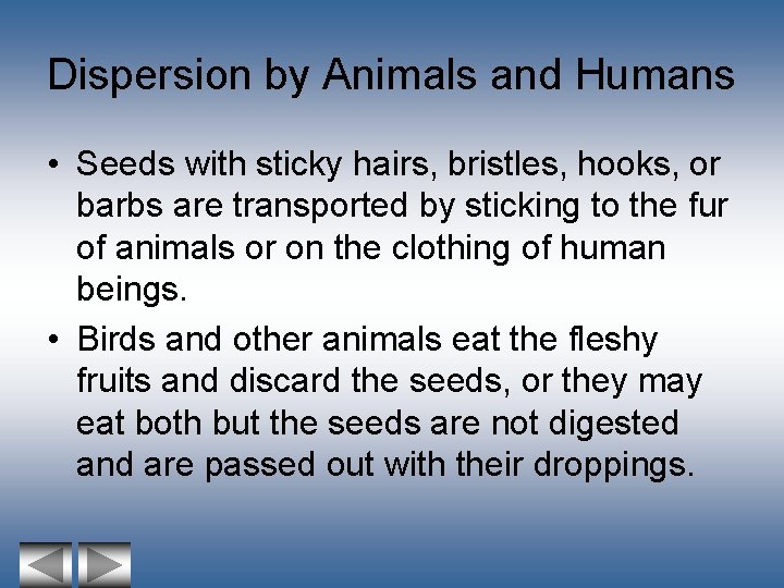 Dispersion by Animals and Humans • Seeds with sticky hairs, bristles, hooks, or barbs