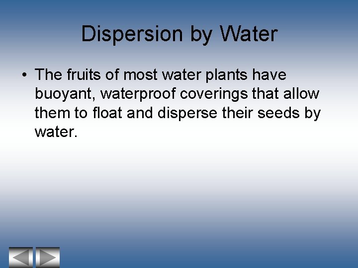 Dispersion by Water • The fruits of most water plants have buoyant, waterproof coverings