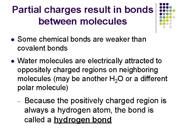 Partial charges result in bonds between molecules l Some chemical bonds are weaker than