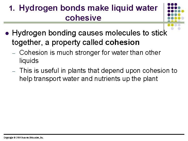 1. Hydrogen bonds make liquid water cohesive l Hydrogen bonding causes molecules to stick
