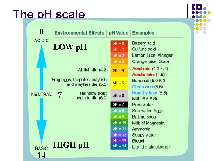The p. H scale 0 LOW p. H 7 HIGH p. H 14 