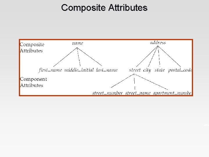 Composite Attributes 