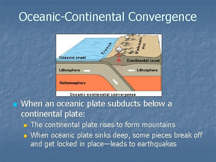 Oceanic-Continental Convergence n When an oceanic plate subducts below a continental plate: n n