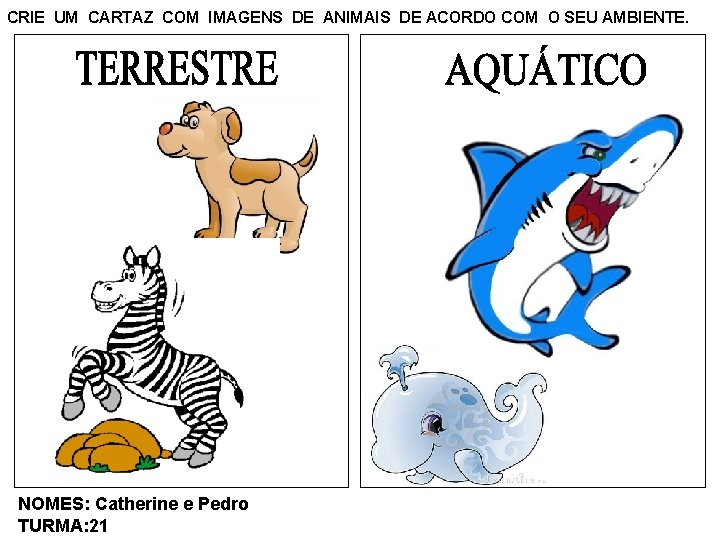 CRIE UM CARTAZ COM IMAGENS DE ANIMAIS DE ACORDO COM O SEU AMBIENTE. NOMES: