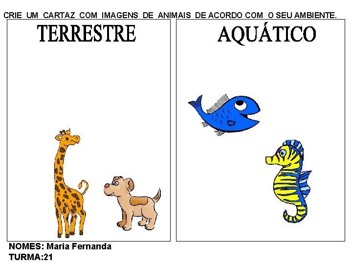 CRIE UM CARTAZ COM IMAGENS DE ANIMAIS DE ACORDO COM O SEU AMBIENTE. NOMES: