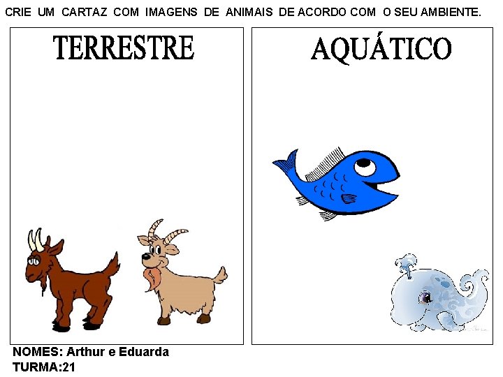 CRIE UM CARTAZ COM IMAGENS DE ANIMAIS DE ACORDO COM O SEU AMBIENTE. NOMES: