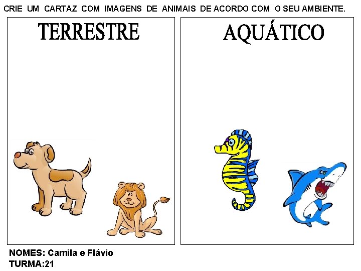 CRIE UM CARTAZ COM IMAGENS DE ANIMAIS DE ACORDO COM O SEU AMBIENTE. NOMES: