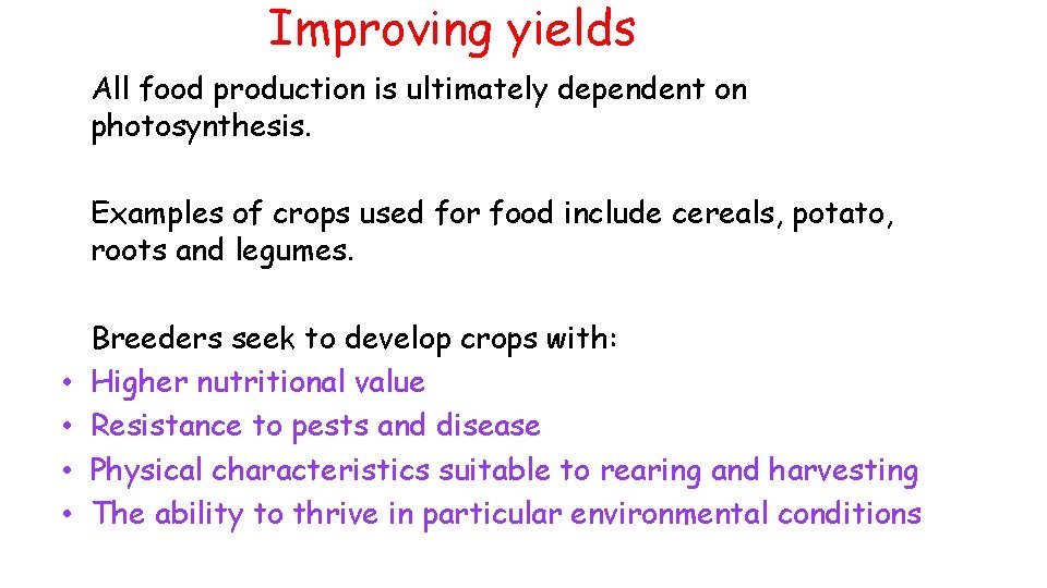 Improving yields All food production is ultimately dependent on photosynthesis. Examples of crops used