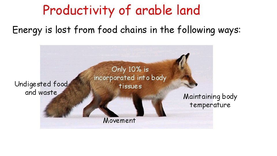 Productivity of arable land Energy is lost from food chains in the following ways: